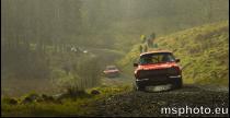 Pirelli Rally